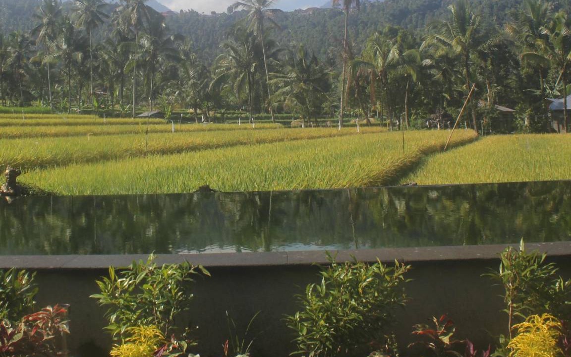 Munduk Bed & Breakfast | 84 m² Bed and breakfast ∙ 5 guests