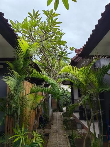 Jungut Batu House | Aalayam homestay