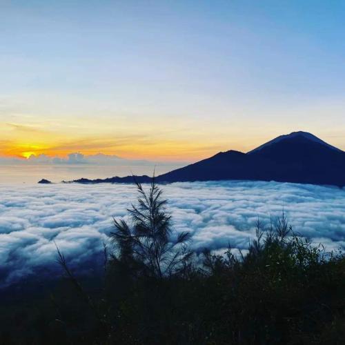 Toya Bungkah Bed & Breakfast | Batur tropis