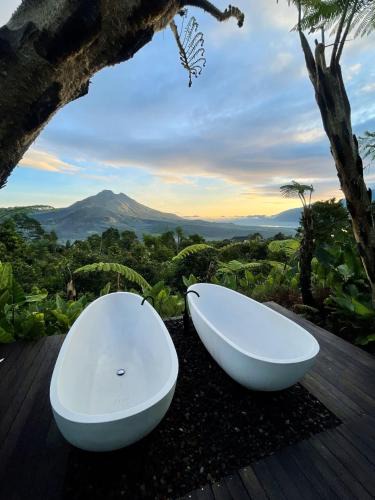 Kintamani Hotel | Black Wood Cabin