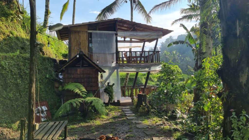 Pupuan Other | Bucu Riverside