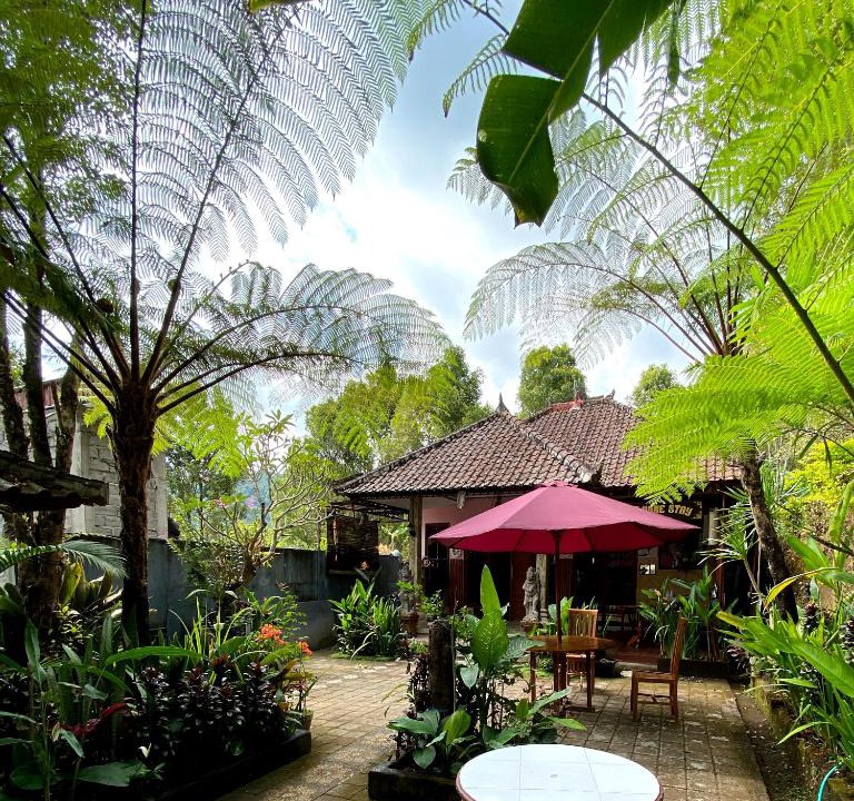 Munduk House | Homestay Sente