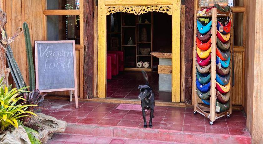 Candikuning Hostel | Hostel ∙ 1 guest