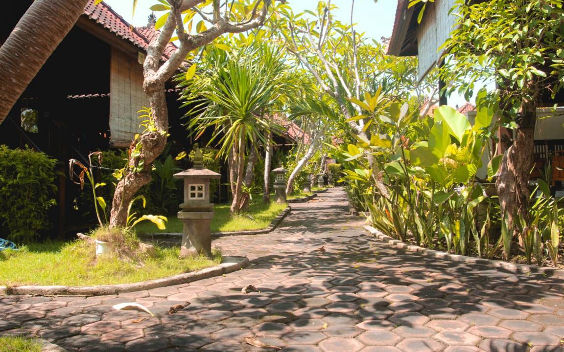 Mushroom Bay Hostel | Hostel ∙ 8 guests