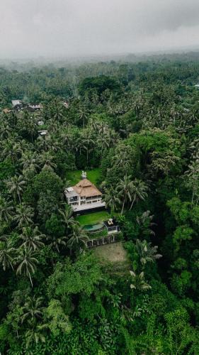 Payangan Villa | Luxury 2BR Ubud Villa with Infinity Pool and Jungle Views