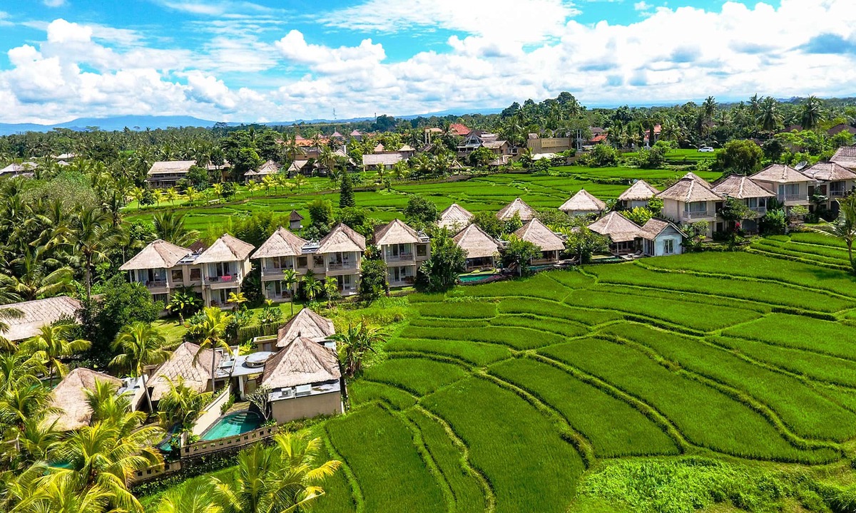 Ubud Hotel | Mesari Hotel Ubud