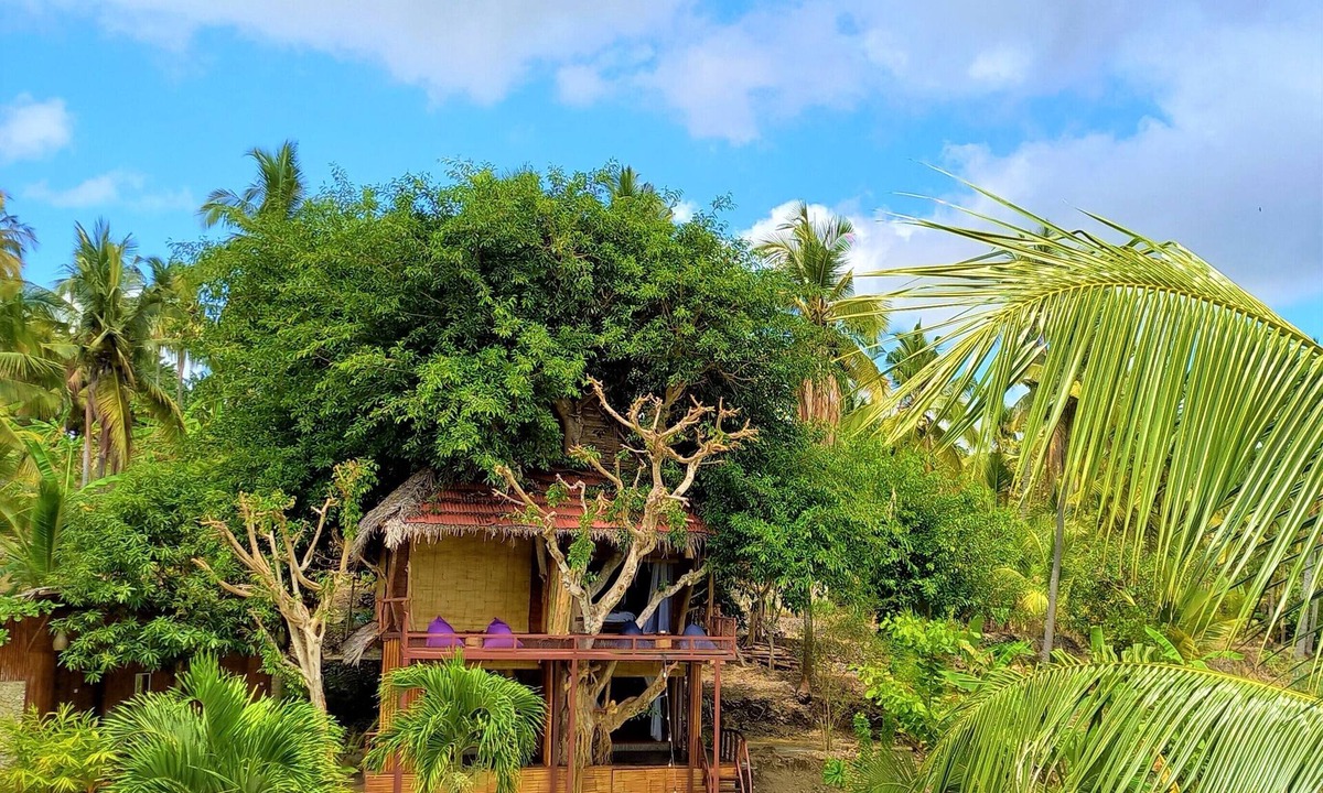 Penida Island Hostel | Room on the Real Tree