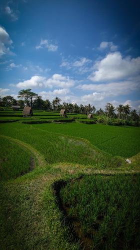 Sebatu Other | Swaha Retreat & Eco Park Ubud