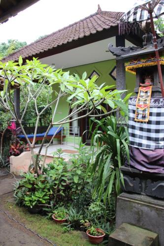 Amed House | Taman Sandat