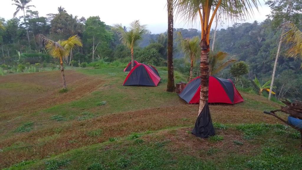 Taro Other | Tent gastronomy