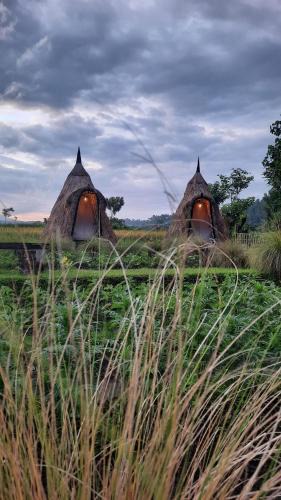 Karangasem Other | Uma Buug