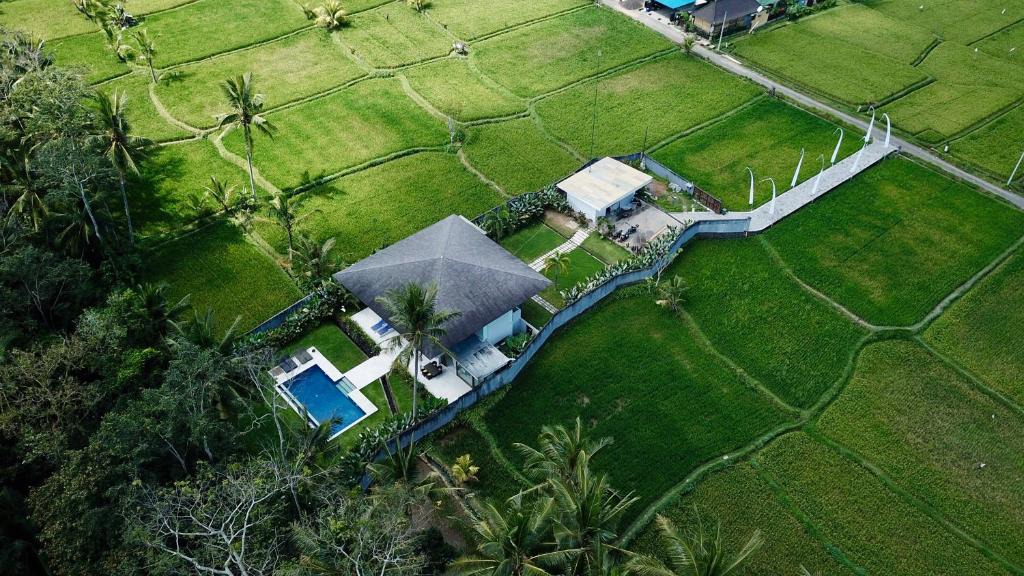 Pejeng Kawan Villa | Villa K Ubud