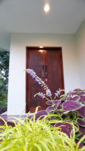 Munduk Villa | Wikubu Villa