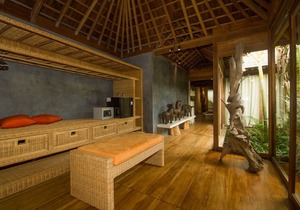 Serenity River 9BR Villa, Canggu
