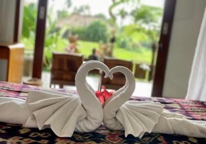Villa Kicen Ubud