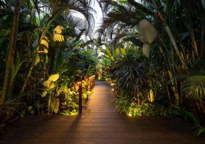 Villa Oia Ubud