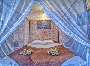 Lovina Central Hostel | Lovina
