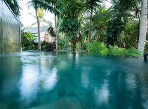 Ubud Valley Atmosphere | Andong