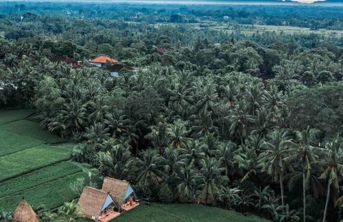 Peliatan House | 15 m² House ∙ 1 bedroom ∙ 3 guests