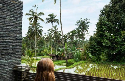 Sebatu Resort | 150 m² Resort ∙ 3 bedrooms ∙ 20 guests