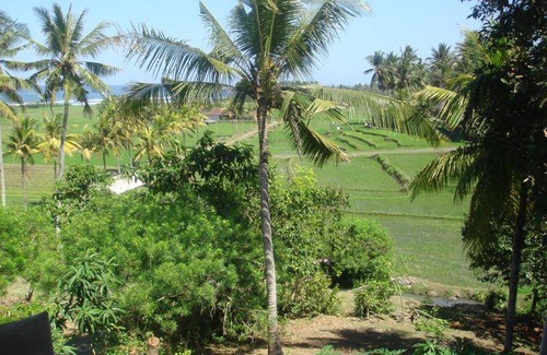 Pekutatan Bed & Breakfast | 24 m² Bed and breakfast ∙ 2 guests