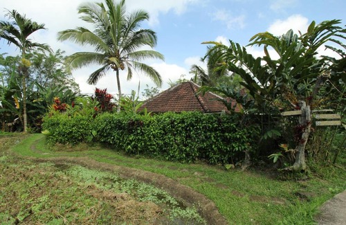 Sebatu Hotel | 32 m² Hotel ∙ 2 guests