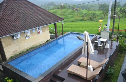 Penebel Bed & Breakfast | 35 m² Bed and breakfast ∙ 3 guests