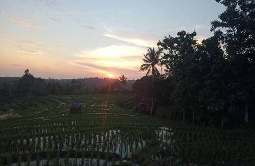 Medewi House | 50 m² House ∙ 1 bedroom ∙ 4 guests