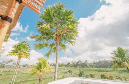 Taro Hotel | 72 m² Hotel ∙ 2 guests