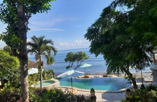 Amed Resort | Double One Villas