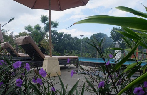 Mushroom Bay Hostel | Hostel ∙ 8 guests