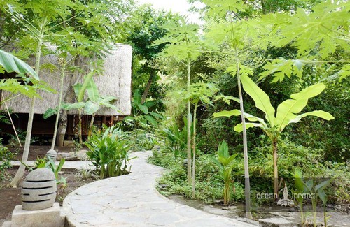 Purwakerti Hostel | Hostel ∙ 8 guests