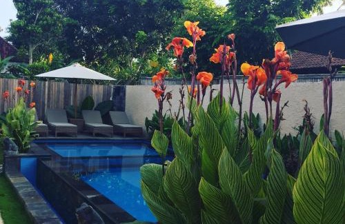 Mushroom Bay Hotel | Lembongan Small Heaven Bungalow