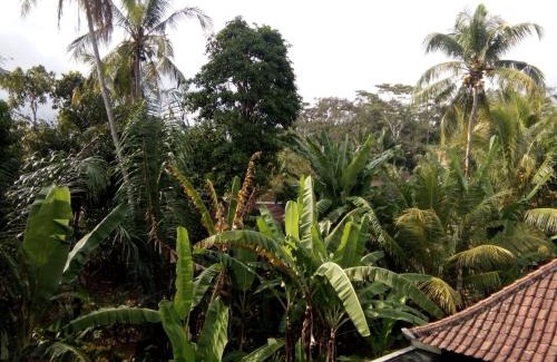 Kedewatan Bed & Breakfast | Manada Guesthouae