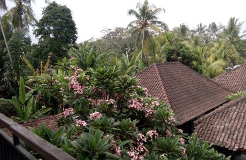 Kedewatan Bed & Breakfast | Manada Guesthouae