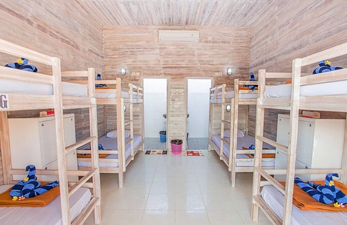 Ceningan Island Hostel | New CANDY hostel Ceningan for 4pax with Snorkeling package