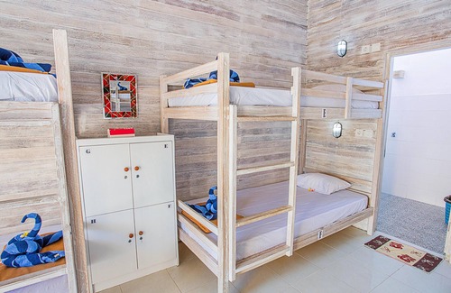 Ceningan Island Hostel | New CANDY hostel Ceningan for 4pax with Snorkeling package