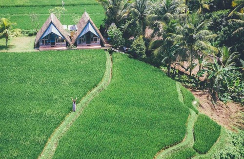 Peliatan House | 15 m² House ∙ 1 bedroom ∙ 3 guests