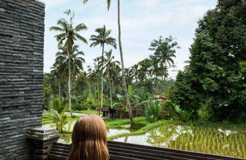 Sebatu Resort | 150 m² Resort ∙ 3 bedrooms ∙ 20 guests
