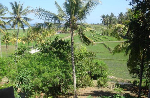 Pekutatan Bed & Breakfast | 24 m² Bed and breakfast ∙ 2 guests