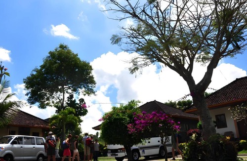 Toya Bungkah Resort | 25 m² Resort ∙ 3 guests