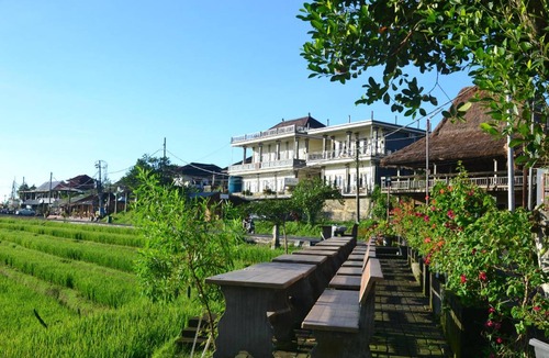 Penebel Bed & Breakfast | 35 m² Bed and breakfast ∙ 3 guests