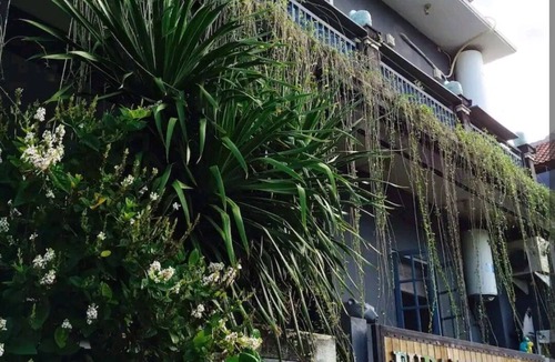 Mekarsari House | 4-bedroom whole house 10’ from Finn’s Beach Club - no agency booking pls