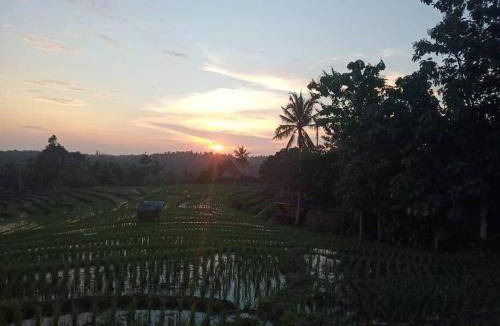 Medewi House | 50 m² House ∙ 1 bedroom ∙ 4 guests