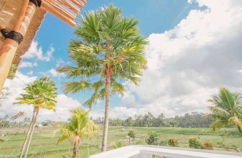 Taro Hotel | 72 m² Hotel ∙ 2 guests