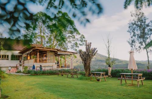 Kedisan Other | Alam Caldera Camp & Resto