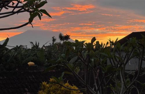 Mas House | Angel House Ubud Eco Villa