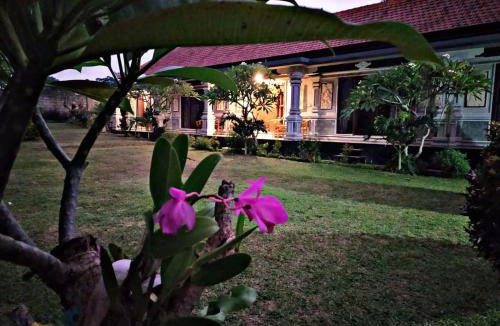 Pejeng Kawan House | Asri Dana