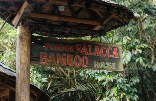 Bebandem House | Bamboohouse pondok salacca #salacca inn