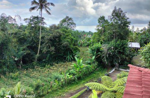 Besakih Bed & Breakfast | Bed and breakfast ∙ 1 bedroom ∙ 2 guests